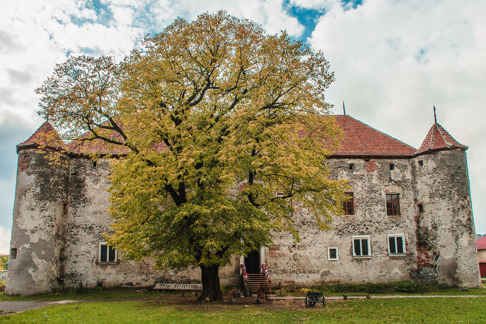 Фотографія Чинадиевский замок Сент-Миклош / Александр Радыш / photographers.ua