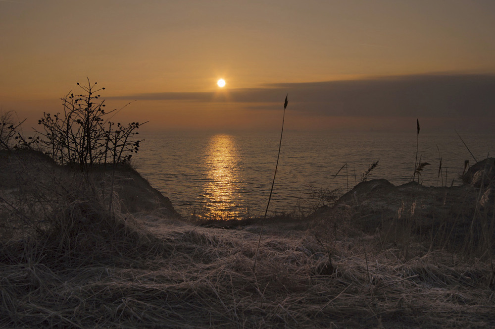 Фотографія Молчал камыш,в лучах рассвета...)* / SergioSfotaS / photographers.ua
