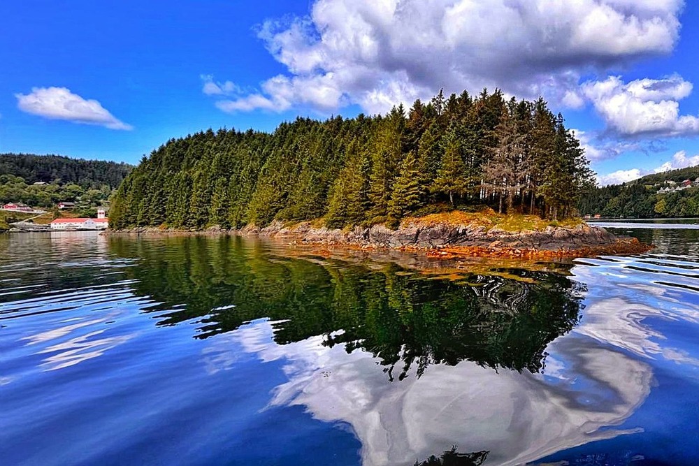 Фотографія Ялинковий небохід у воді / SergioSfotaS / photographers.ua