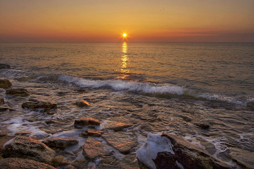 Фотографія Ранкова позолота / SergioSfotaS / photographers.ua