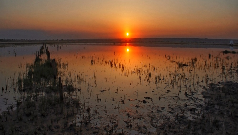 Фотографія Дзерксончик в вечері / SergioSfotaS / photographers.ua