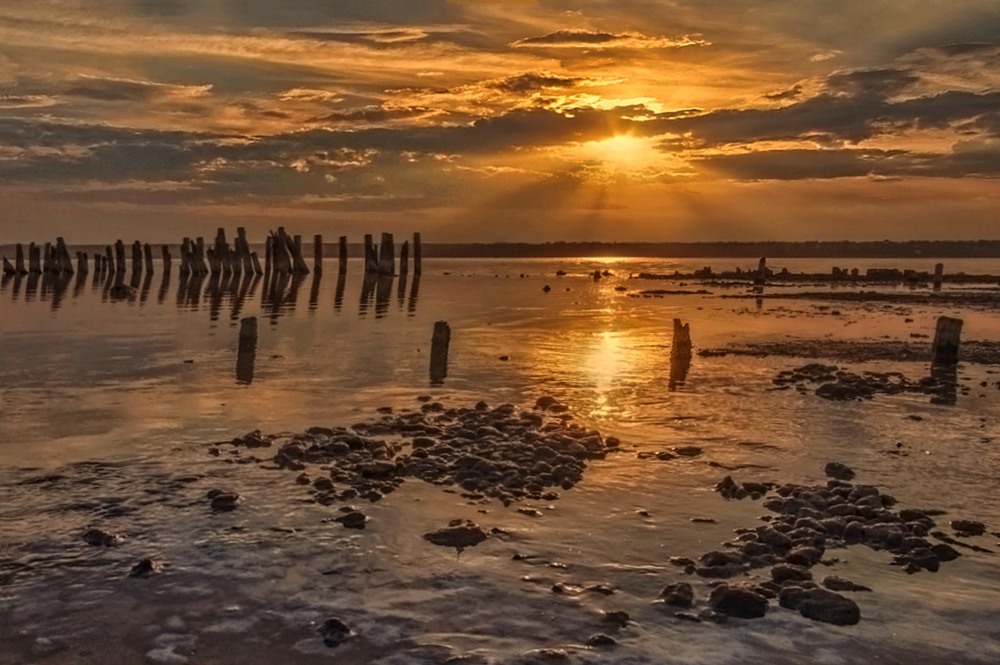 Фотографія Осіння позолота / SergioSfotaS / photographers.ua