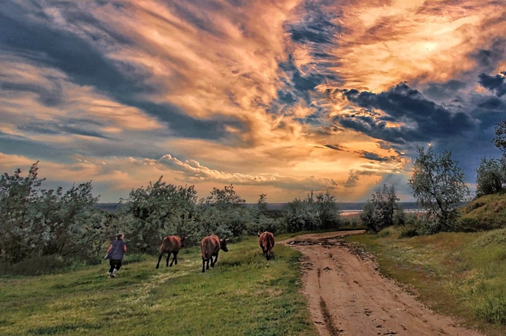 Фотографія Шлях до жовто-блакитного неба !!! . / SergioSfotaS / photographers.ua
