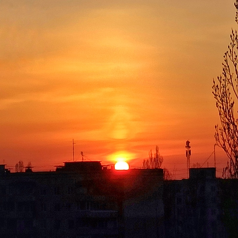 Фотографія Ранковий термогриб / SergioSfotaS / photographers.ua