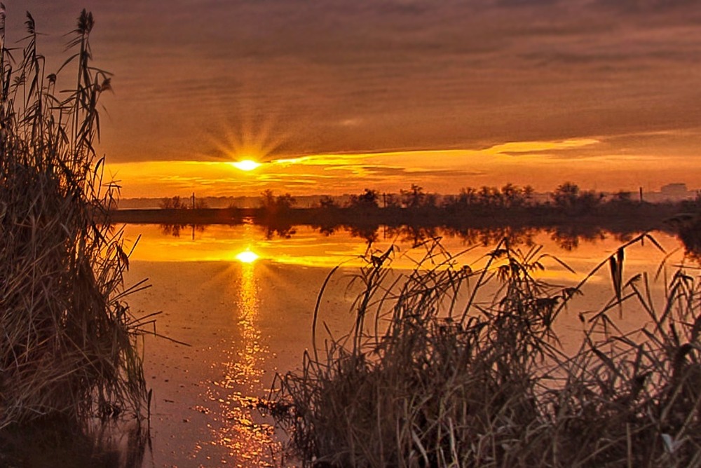 Фотографія Зірочка з дзеркалочкой / SergioSfotaS / photographers.ua