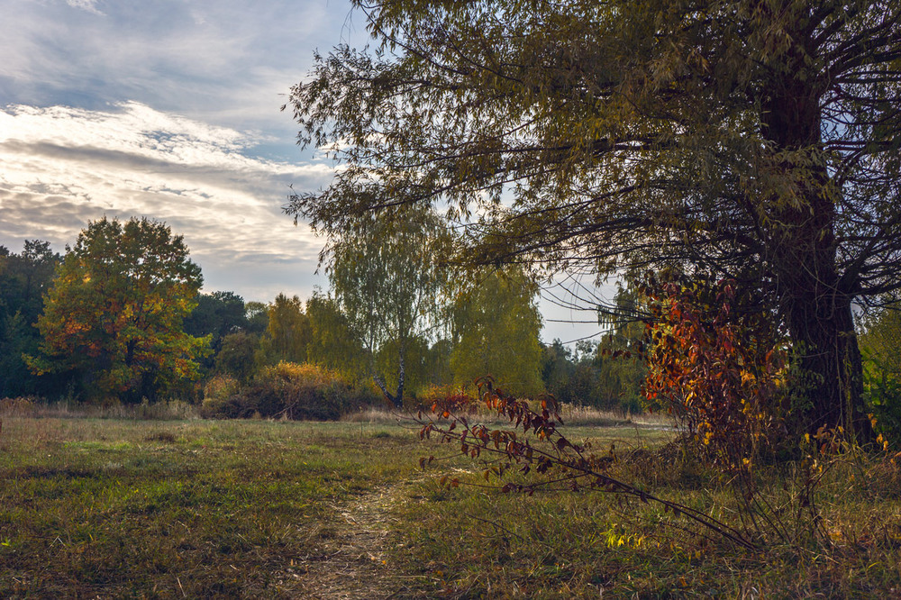 Фотографія Осень на ВДНХ / maglest / photographers.ua