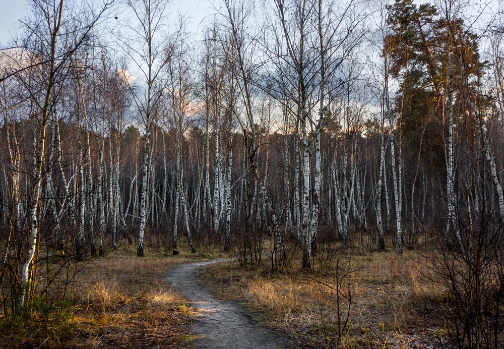 Фотографія Пейзаж / maglest / photographers.ua