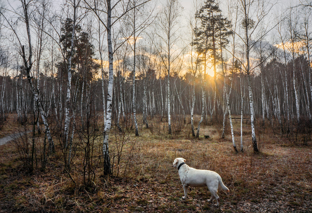 Фотографія В поисках потерянной тропы / maglest / photographers.ua