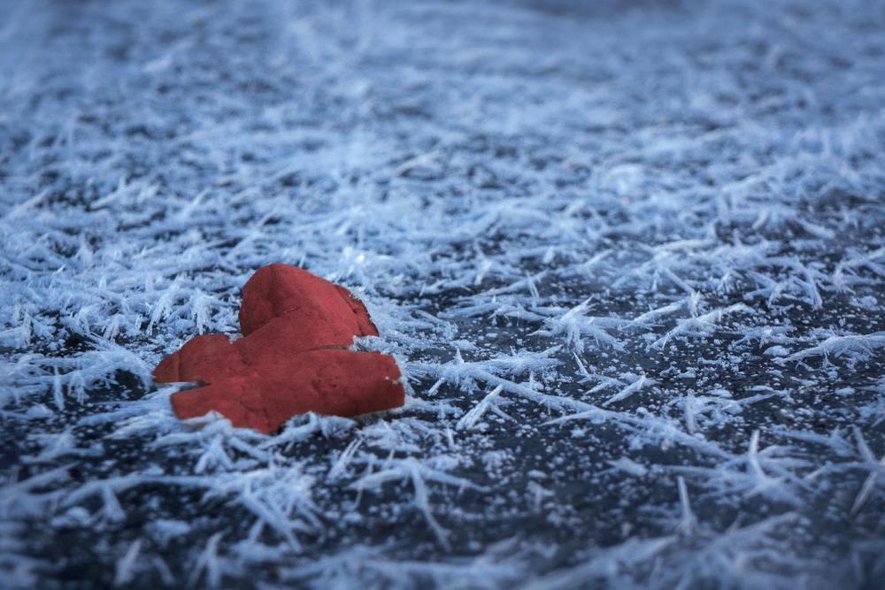 Фотографія Frozen heart / maglest / photographers.ua