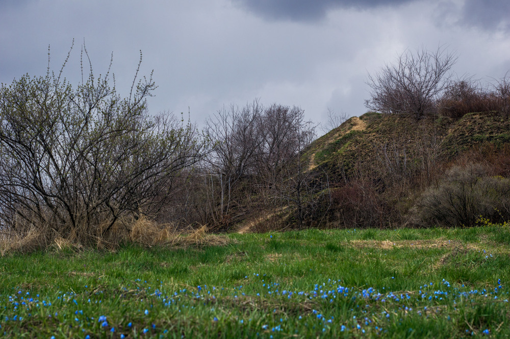 Фотографія Весна в ботсаду / maglest / photographers.ua