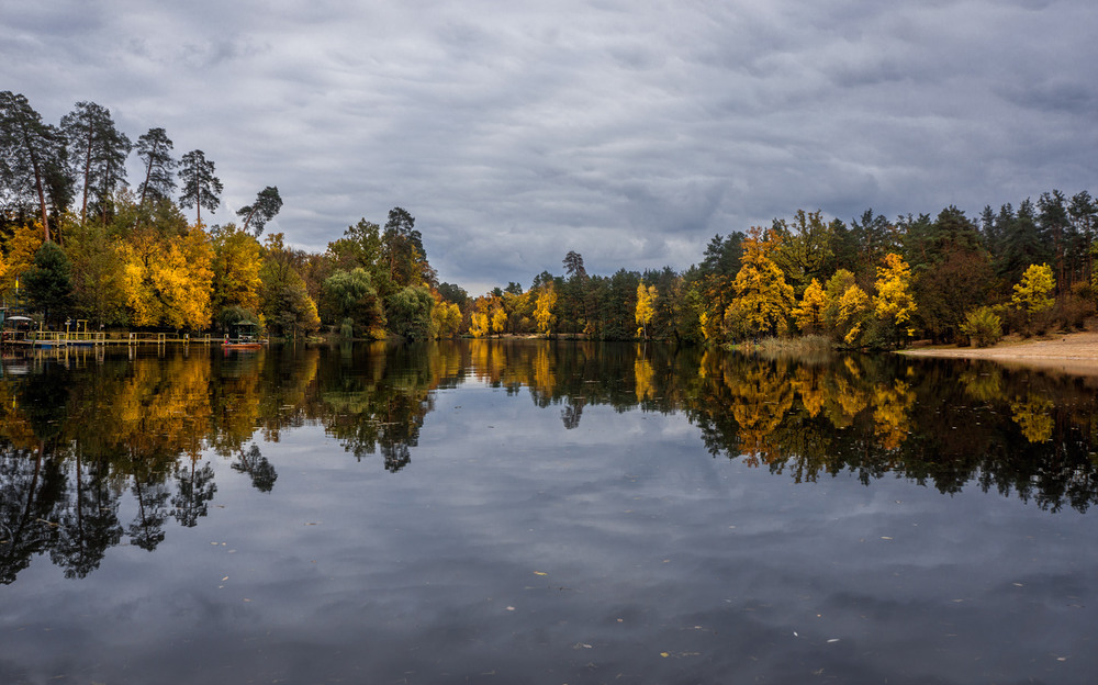 Фотографія Осенний спектр / maglest / photographers.ua