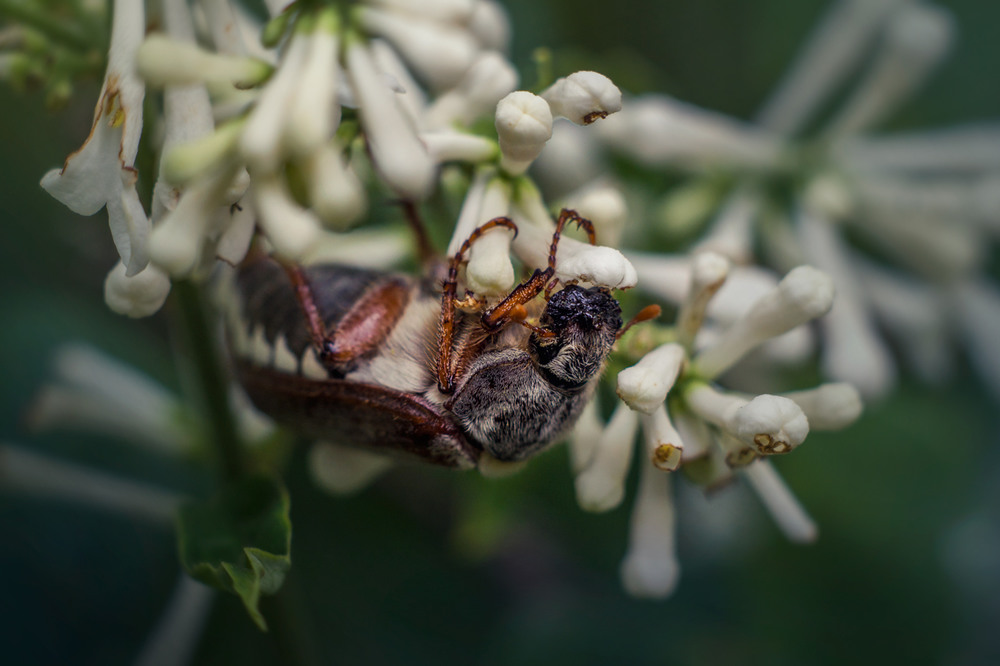 Фотографія Дозаправка перед полётом / maglest / photographers.ua