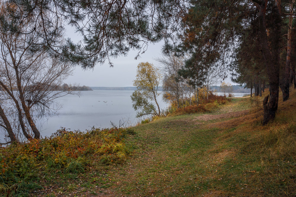 Фотографія Осенний день на Алмазном побережье / maglest / photographers.ua