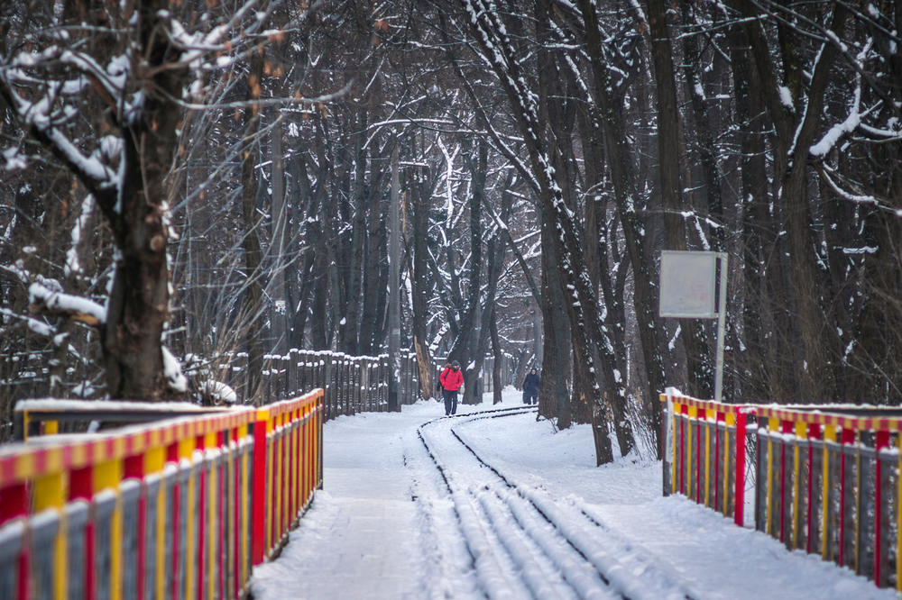 Фотографія Тёплые краски холодной зимы / maglest / photographers.ua