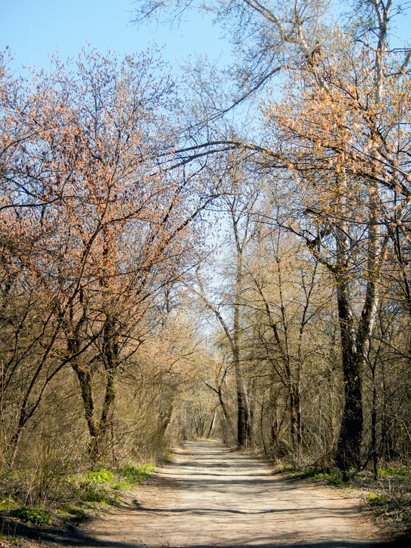 Фотографія Весенними тропинками lV / maglest / photographers.ua