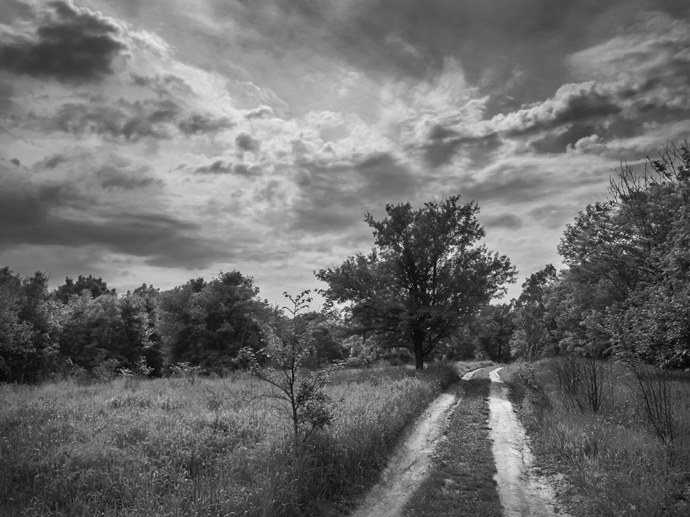 Фотографія Пейзаж / maglest / photographers.ua