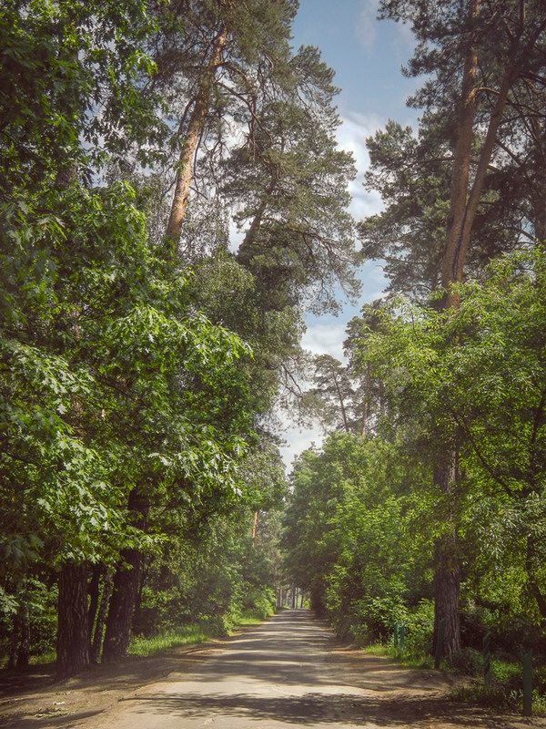 Фотографія Пейзаж / maglest / photographers.ua