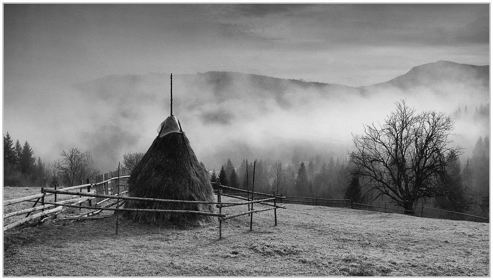 Фотографія Про коп`ячок в тумані... / Валерій / photographers.ua