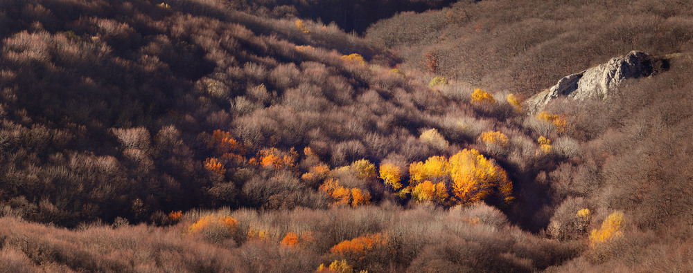 Фотографія Осень в Крыму хорошо / Михаил Псарев / photographers.ua