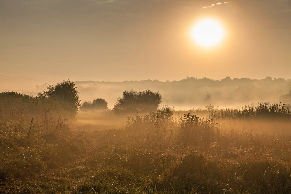 Фотографія ### / Михайло / photographers.ua