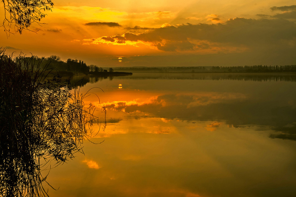 Фотографія *** / Михайло / photographers.ua