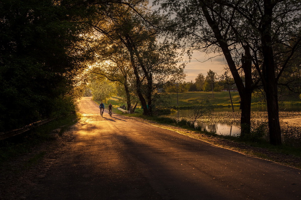 Фотографія Тополиный пух...далее по тексту :) / Михайло / photographers.ua