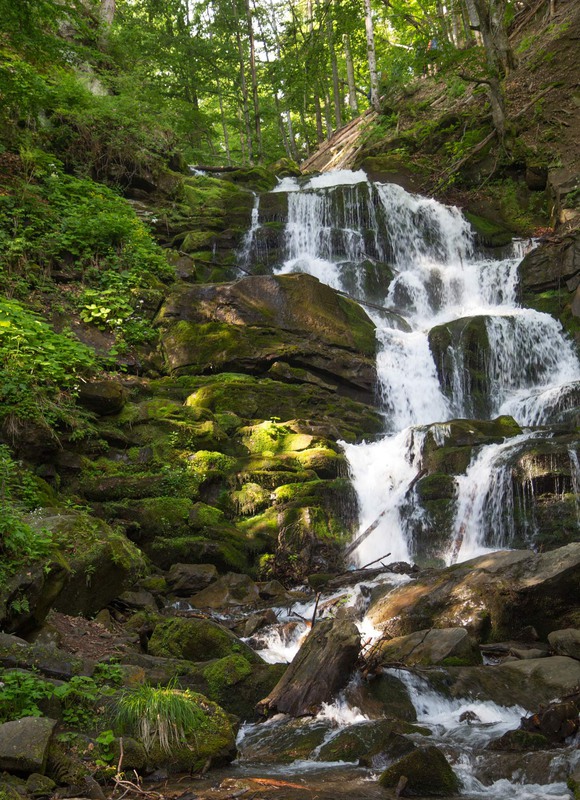 Фотографія Whisper / Nick Name / photographers.ua