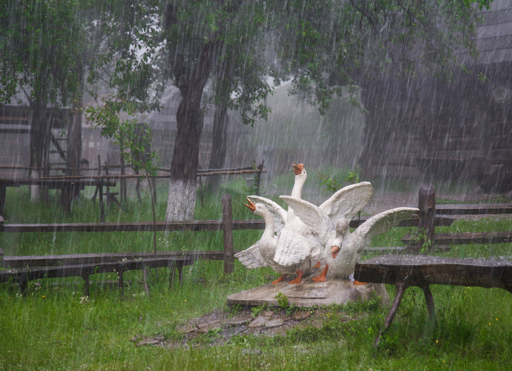 Фотографія Безудержное веселье / Nick Name / photographers.ua