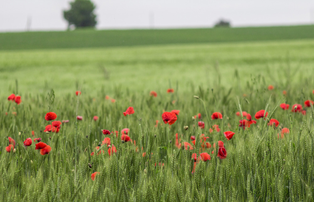 Фотографія Пейзаж / Nick Name / photographers.ua
