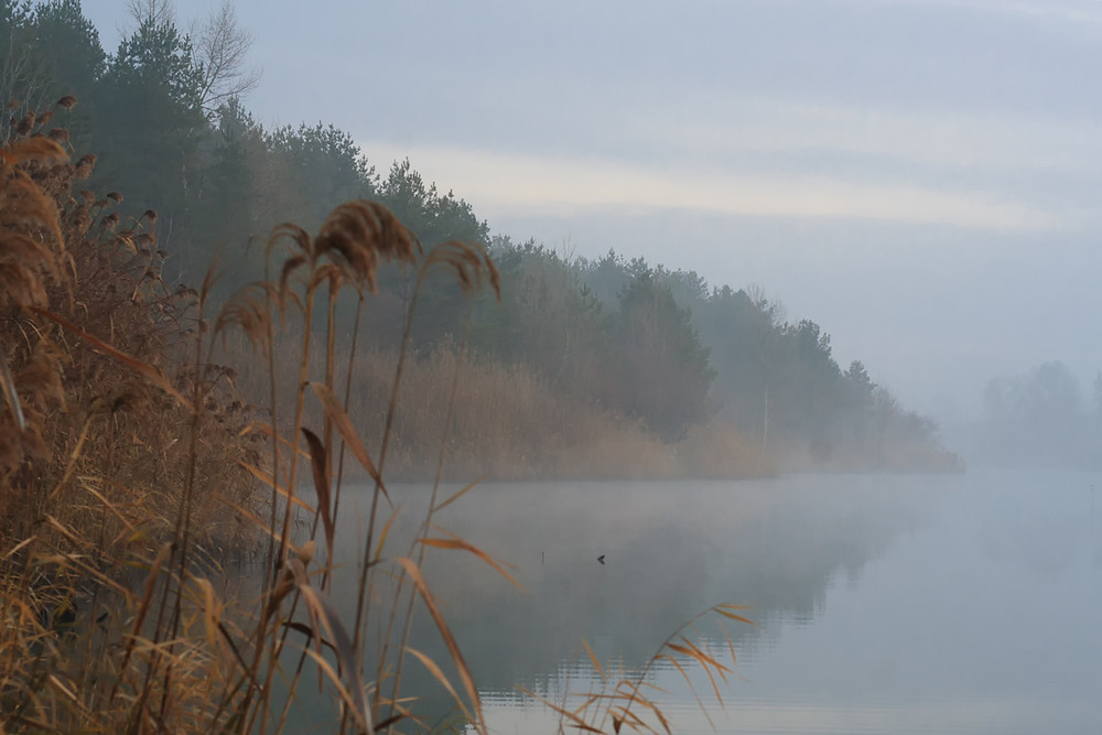 Фотографія Пейзаж / Александр Войтенко / photographers.ua