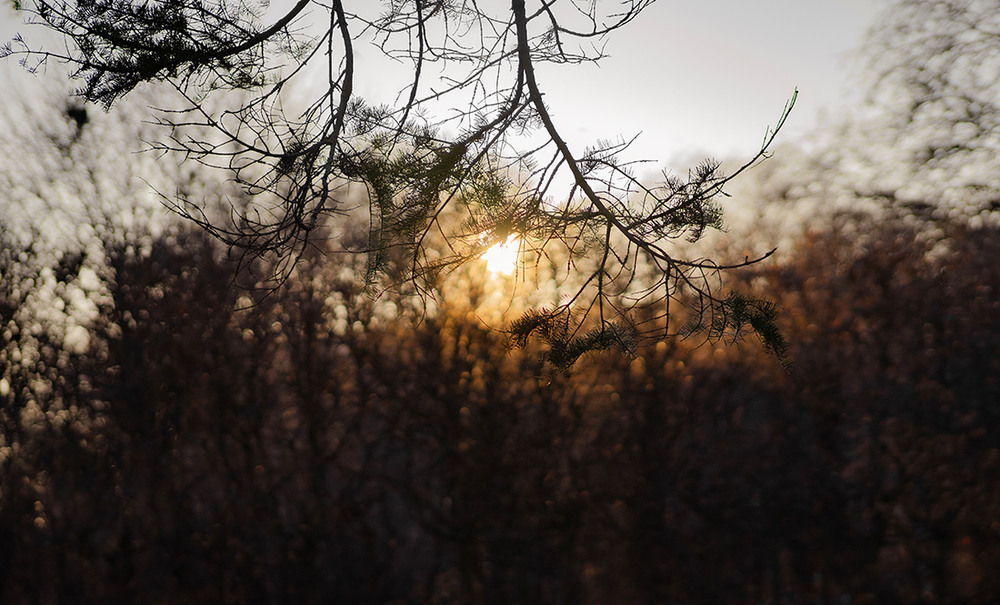 Фотографія Пейзаж / Антон Гайдук / photographers.ua