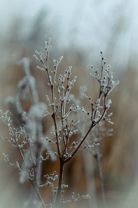 Фотографія Разное / Andriy Kluchivskiy / photographers.ua