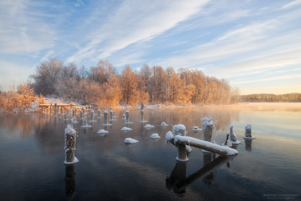 Фотографія Утром на морозе / Анатолий Гордиенко / photographers.ua