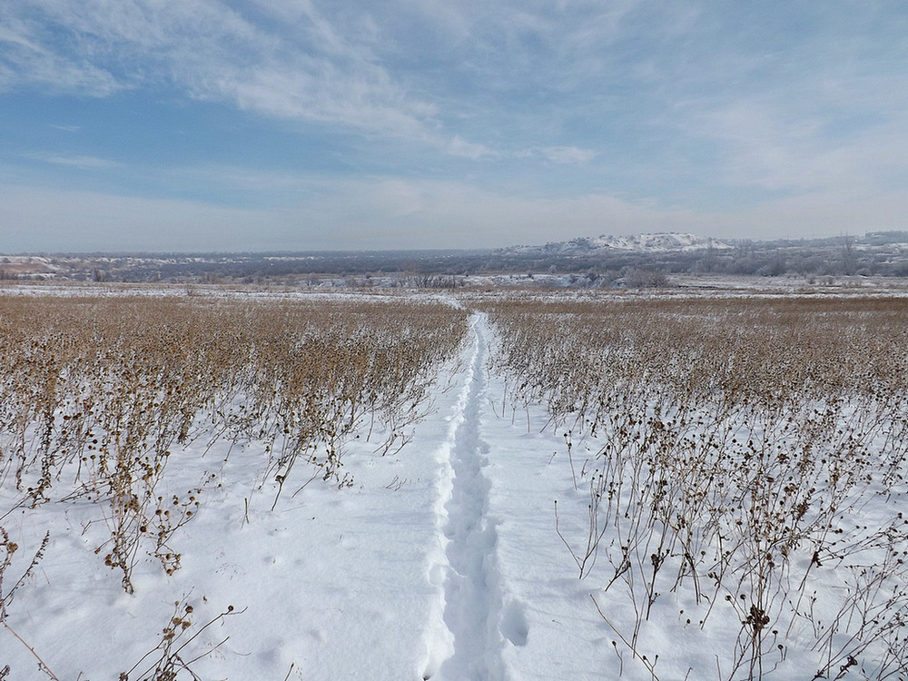 Фотографія Навпростець. / Viktor Kucherenko / photographers.ua
