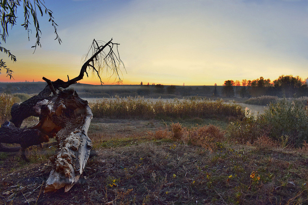 Фотографія В очікуванні сонця. / Viktor Kucherenko / photographers.ua