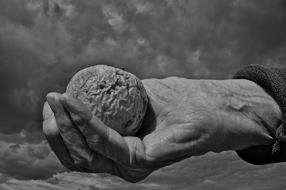 Фотографія Чорні хмари. / Viktor Kucherenko / photographers.ua