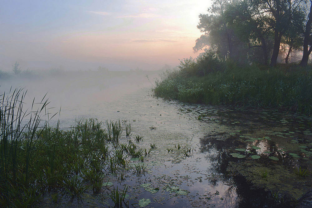 Фотографія Тиха ріка. / Viktor Kucherenko / photographers.ua