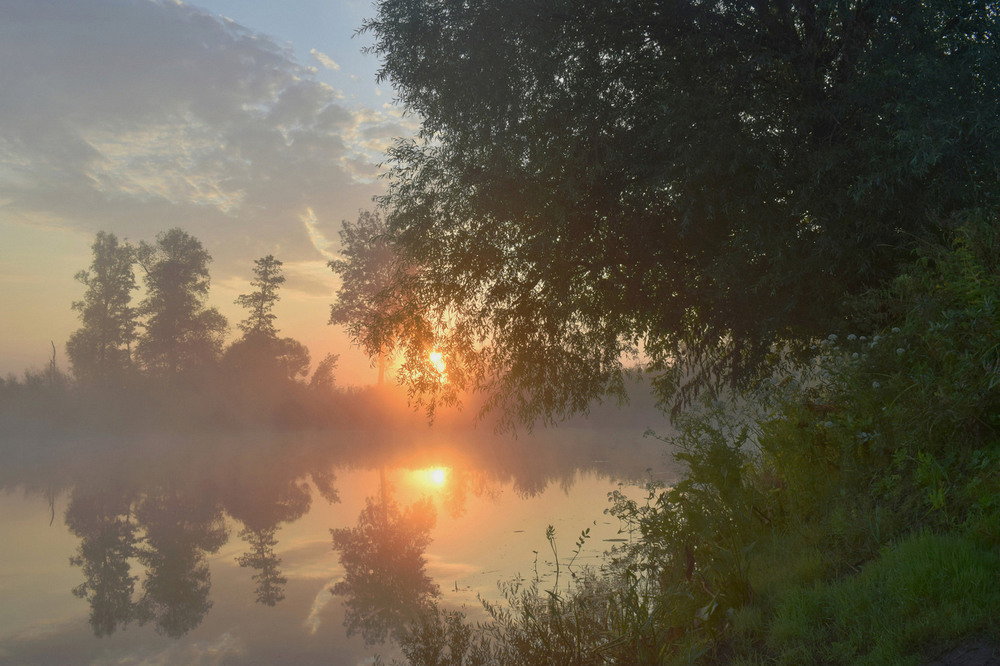 Фотографія Вранішній серпанок. / Viktor Kucherenko / photographers.ua