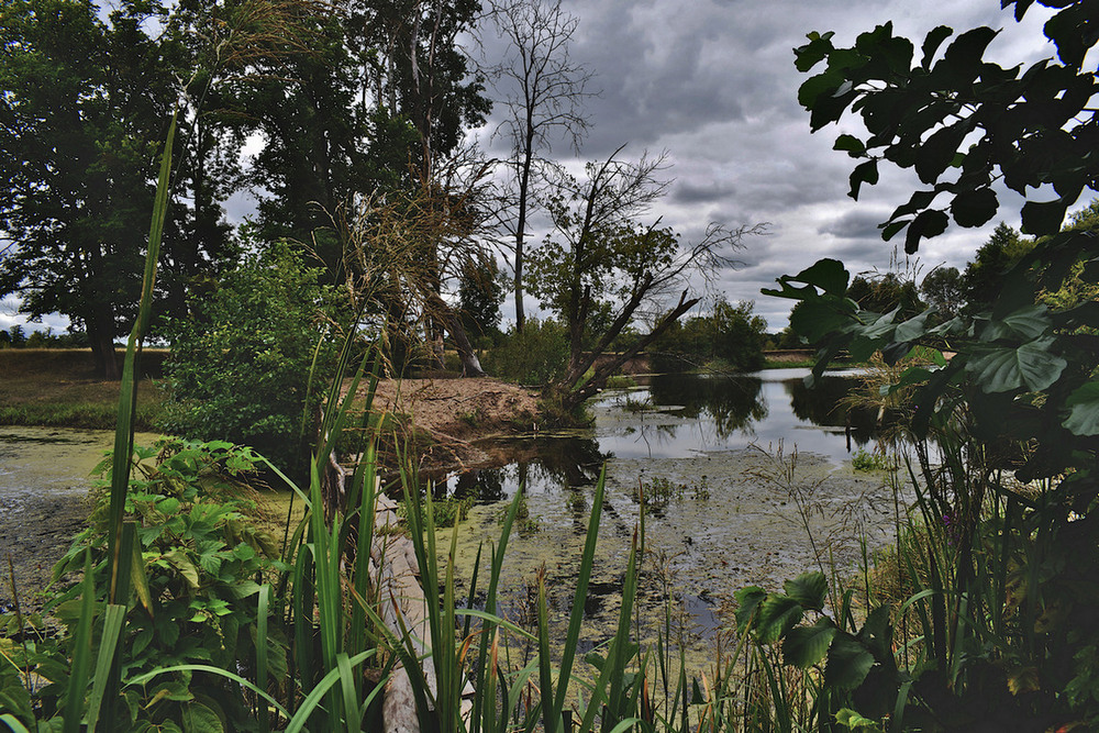 Фотографія Річкові серпантини. / Viktor Kucherenko / photographers.ua