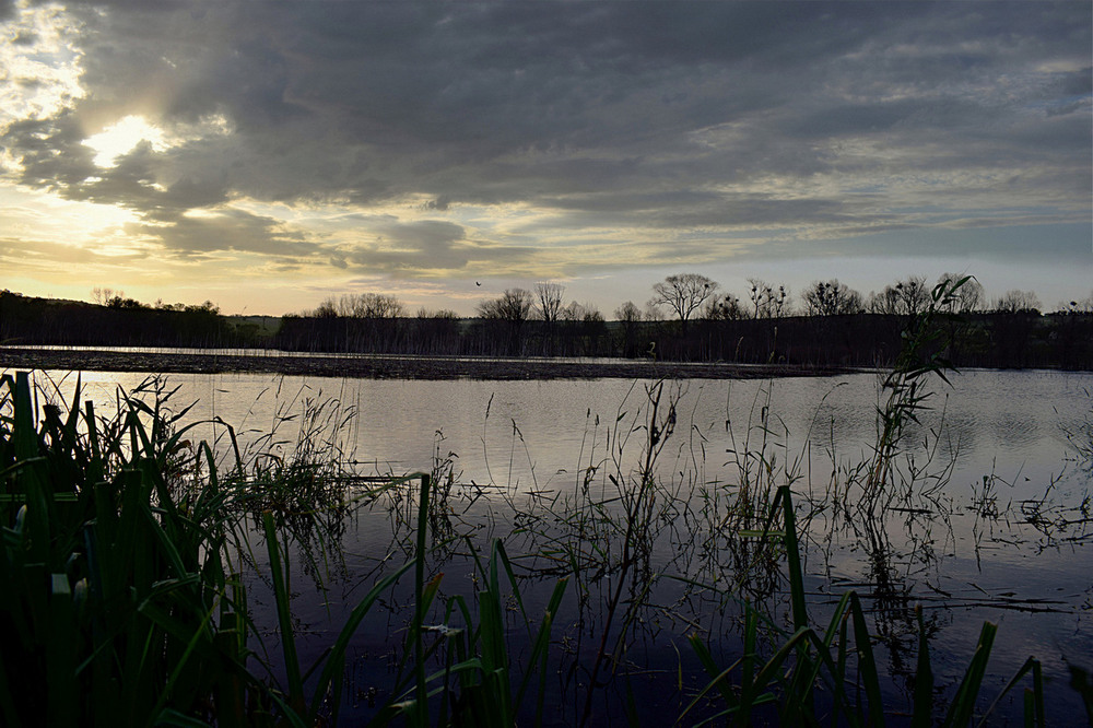 Фотографія Питання стає рубо: чи буде дощ? / Viktor Kucherenko / photographers.ua