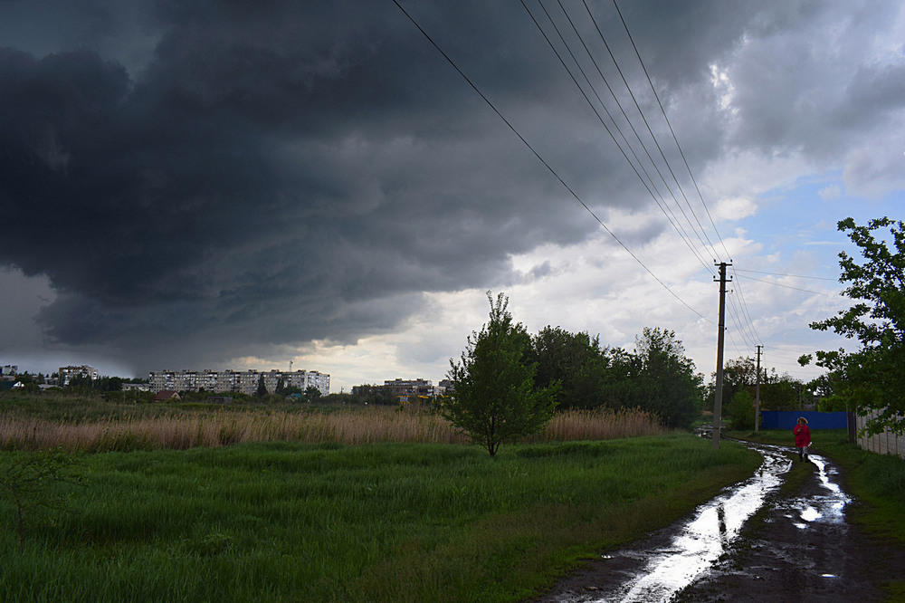 Фотографія Непоганий дощ пройшов. / Viktor Kucherenko / photographers.ua