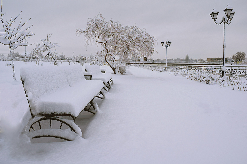 Фотографія Свіжий сніг. / Viktor Kucherenko / photographers.ua