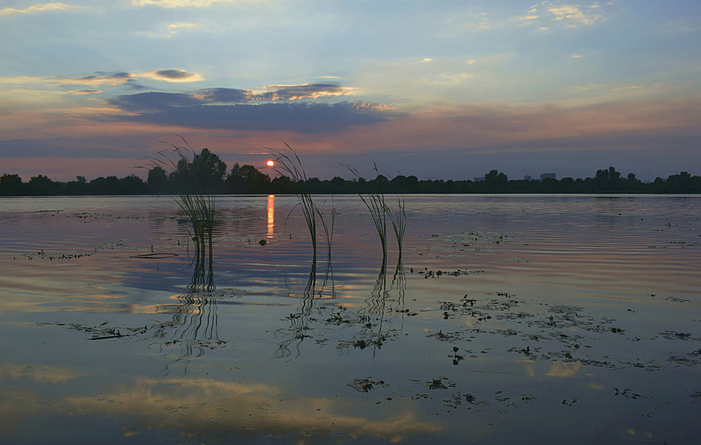 Фотографія Сонце сідає в хмари - буде дощ. / Viktor Kucherenko / photographers.ua