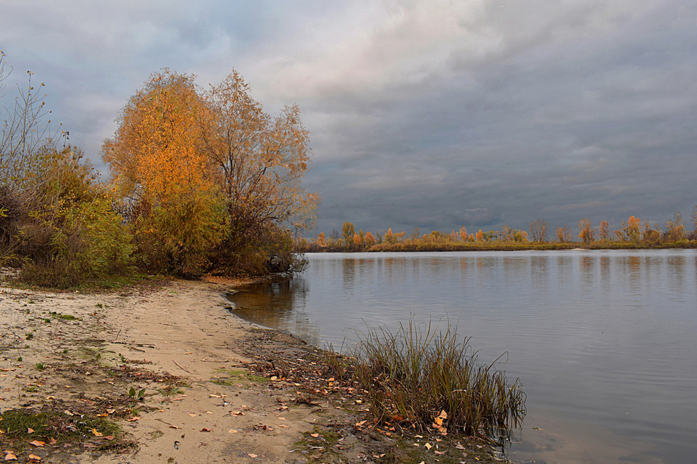Фотографія Хмарна осінь. / Viktor Kucherenko / photographers.ua