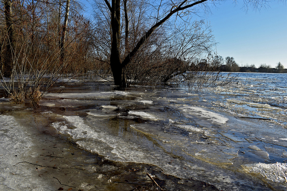 Фотографія Весна на марші. / Viktor Kucherenko / photographers.ua