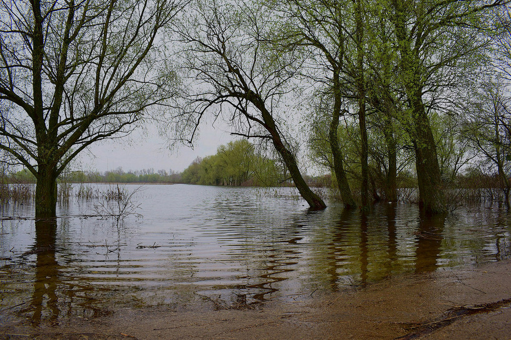 Фотографія Весняна вода 2 / Viktor Kucherenko / photographers.ua