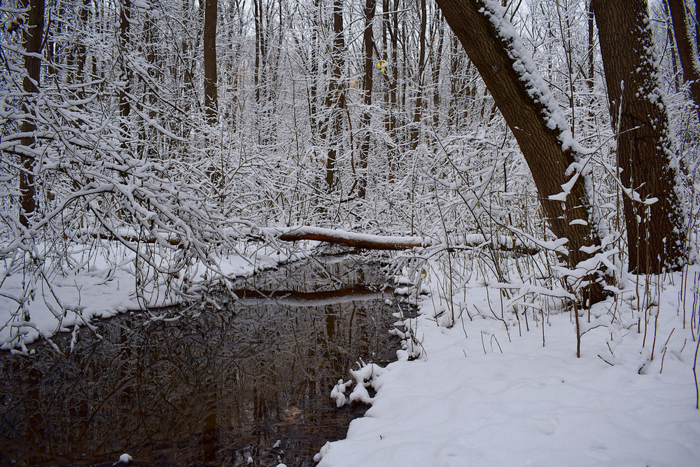 Фотографія Віддзекалення зими. / Viktor Kucherenko / photographers.ua