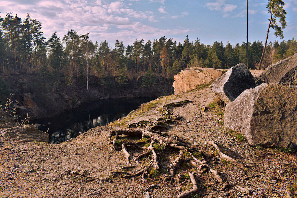 Фотографія Коростишівський восьминіг. / Viktor Kucherenko / photographers.ua