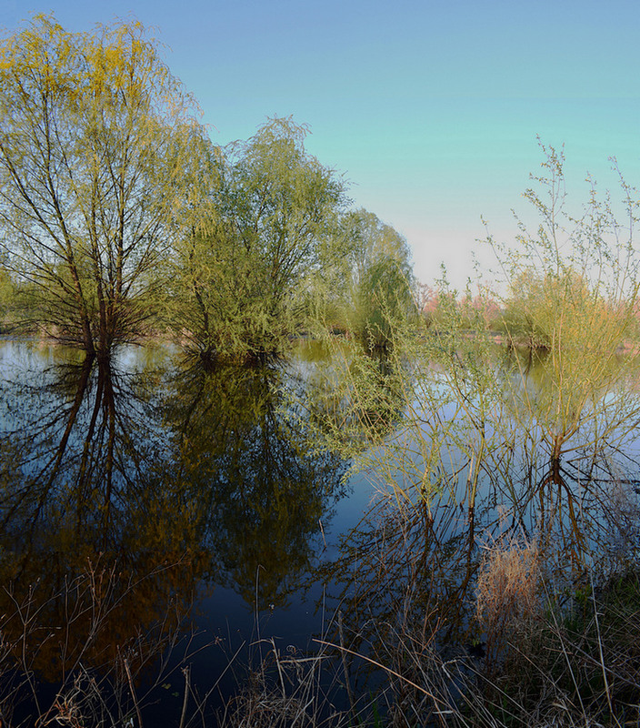 Фотографія Була калюжа - столо озеро. / Viktor Kucherenko / photographers.ua