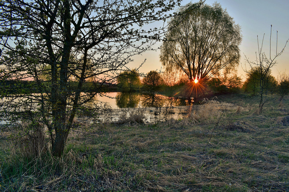 Фотографія Весняне сонце. / Viktor Kucherenko / photographers.ua